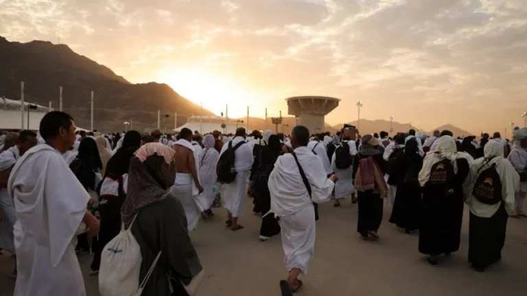 Pilgrims Pilgrims